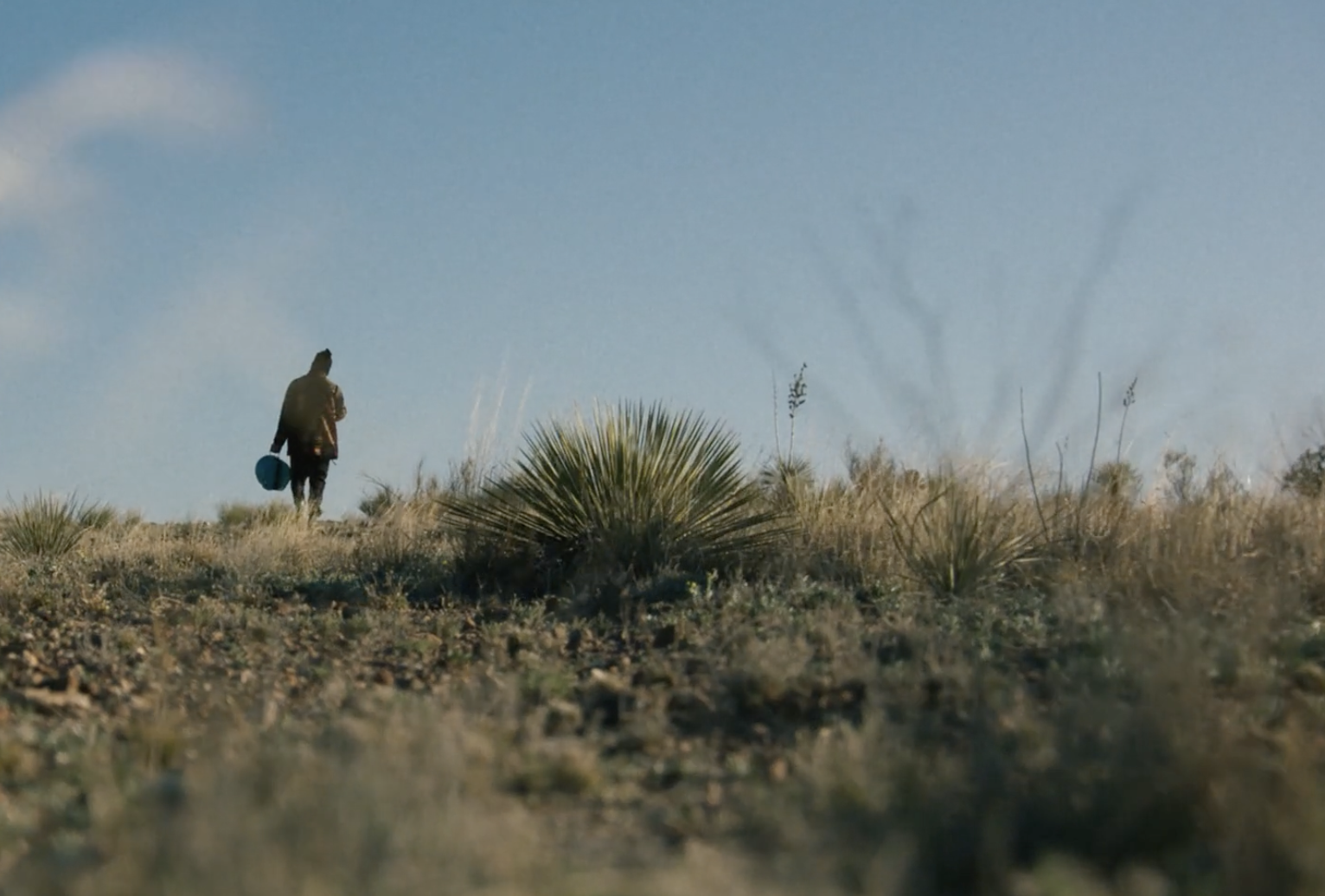 César Martinez Barba work